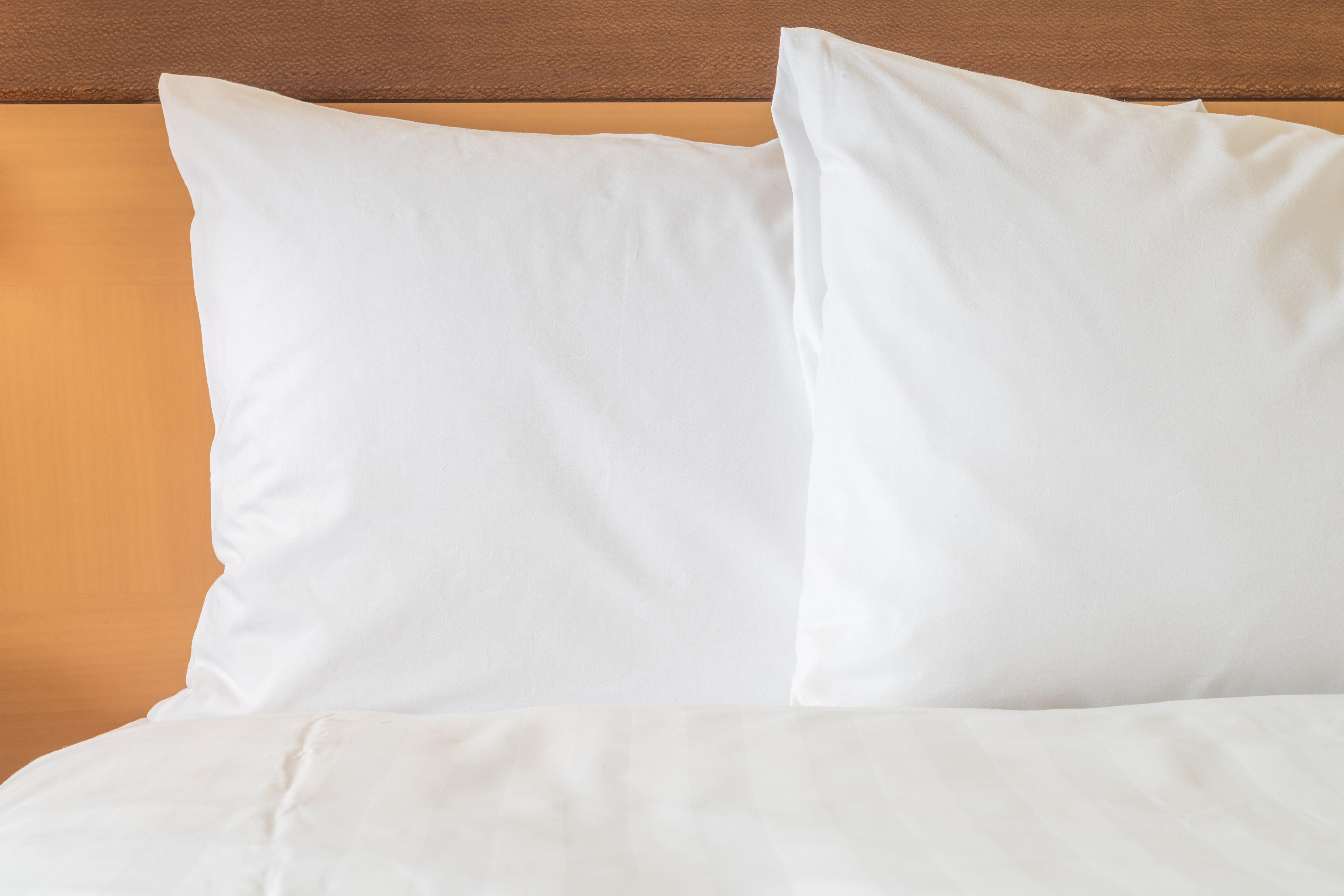 Holiday Inn Gainesville-University Center By Ihg Eksteriør bilde